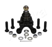 Perno braccio oscillante Assale anteriore Sx 73-05-523L ASHIKA per MITSUBISHI