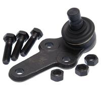 Perno braccio oscillante inferiore ZSD-FR-004 NTY per FORD FOCUS I