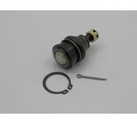 Perno braccio oscillante Assale anteriore inferiore ZSD-HD-019 NTY per HONDA