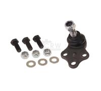 Giunto di Supporto Guida Frontale per Nissan Pathfinder II R50