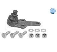 Giunto di supporto / guida inferiore per FORD FOCUS