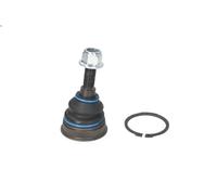 Giunto di supporto / guida MEYLE 116 010 0036 per AMAROK 2 2010-2016
