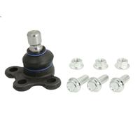 Giunto di supporto / guida REINHOCH RH03-2036 per CITROEN C2 (JM_) 1.4 2005-2009