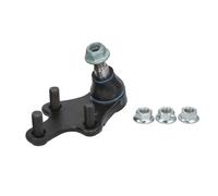 Giunto di supporto/guida REINHOCH RH03-2046