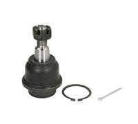 REINHOCH RH03-4025 Testina braccio oscillante