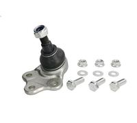 REINHOCH RH03-5013 Testina braccio oscillante