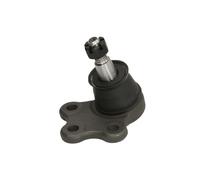 Giunto di supporto/guida REINHOCH RH03-5017