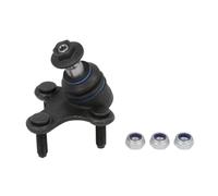 REINHOCH RH03-0025 Testina braccio oscillante