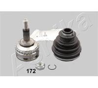 Ashika Ashika 62-01-172