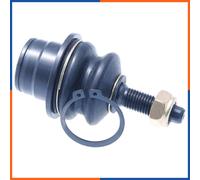 NTY Giunto di supporto / guida compatibile con FORD USA ZSD-FR-008