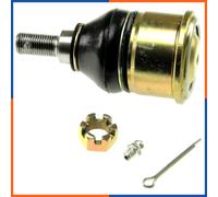 Giunto Sferico anteriore inferiore per HONDA | 51220-SDA-A02