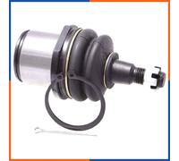 NTY ZSD-TY-089 Testina braccio oscillante