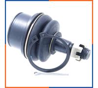 NTY ZSD-TY-085 Testina braccio oscillante