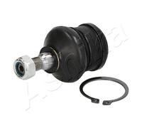 Giunto Sferico ASHIKA 73-05-502 Per MITSUBISHI, SMART