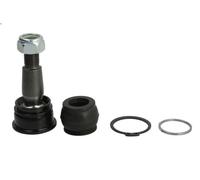 Giunto sferico CTR CB0139 per HONDA JAZZ III (GE_, GG_, GP_, ZA_) 1.5 2008-2014