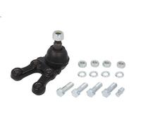 Giunto sferico CTR CB0248R per MITSUBISHI L200 (K7_T, K6_T, K5_T) 2.4 1996-2007