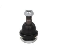Giunto sferico CTR CB0324 per NISSAN NAVARA (D22) 2.5 1998-2001
