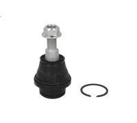 Giunto sferico CTR CB0461 per FORD RANGER (TKE) 2 2018-