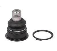 Giunto sferico CTR CB0466 per RENAULT THALIA III (L8_) 1 2017-2019