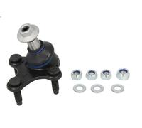 Giunto sferico DELPHI TC1731 per AUDI A3 (8P1) 2 2004-2012