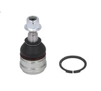 Giunto sferico DELPHI TC2406 SMART FORFOUR (454) 1.1 2004-2006