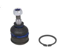 Giunto sferico DELPHI TC254 SEAT TERRA (24) 0.9 1987-1996