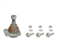Giunto sferico FAG 825 0185 10 per FIAT PALIO (178_, 171_, 371_) 1.2 1997-2002