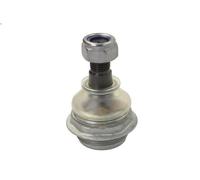 Schaeffler (FAG) Perno braccio oscillante 825 0192 10 per Citroën, Peugeot, DS