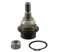 Giunto Sferico Lower Sinistra Destra Per FORD TRANSIT CUSTOM V362 2.0D 2015