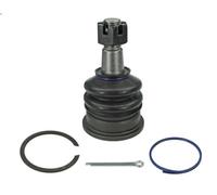 Giunto sferico MEYLE 30-16 010 0069 per 4 RUNNER III (_N18_) 3.4 1995-2002