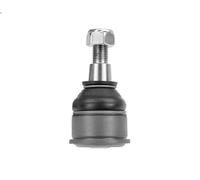 Giunto sferico MEYLE 31-16 010 0000 per HONDA FR-V (BE) 2.2 2005-2009