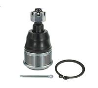 Giunto sferico MEYLE 31-16 010 0016 HONDA CR-V II (RD_) 2 2001-2007