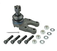Giunto sferico MEYLE 36-16 010 0050 per NISSAN TERRANO II (R20) 3 2002-2007