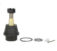 Giunto sferico MOOG AMGK7411 per RAM 1500 Pick-up (D1, DC, DH, DM, DR) 3.7 2001-
