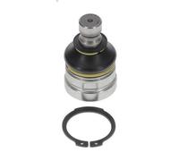 Giunto sferico MOOG MI-BJ-8860 per VOLVO V40 Familiare (645) 2 1995-2004