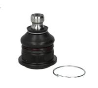 Perno braccio oscillante inferiore NI-BJ-2792 MOOG per NISSAN MICRA III NOTE