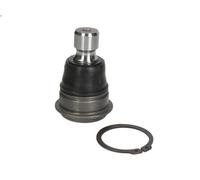 Perno braccio oscillante Assale anteriore NI-BJ-4954 MOOG per NISSAN RENAULT