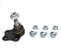 Giunto di sospensione MOOG RE-BJ-15615