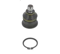 Giunto sferico MOOG RE-BJ-2094 RENAULT MEGANE II (BM0/1_, CM0/1_) 2 2002-2008
