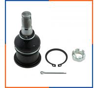 Giunto Sferico posteriore per LEXUS | 48790-30052