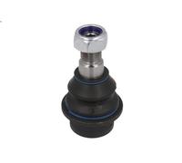 REINHOCH RH03-0020 Testina braccio oscillante