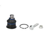 Giunto sferico REINHOCH RH03-2002 per DACIA SANDERO (BS_) 1 2011-2012