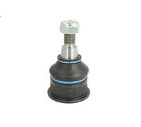 Giunto sferico REINHOCH RH03-2025 per RENAULT AVANTIME (DE0_) 3 2001-2003