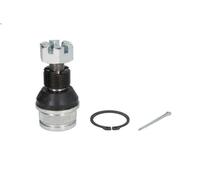 Giunto sferico REINHOCH RH03-6002