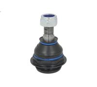 Sasic Giunto di sospensione 6403533 per Citroën Peugeot DS (Berlingo C4 3008 307 RCZ)