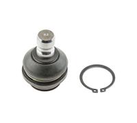 Giunto Sferico Sospensione Anteriore Inferiore Per NISSAN NAVARA Pathfinder