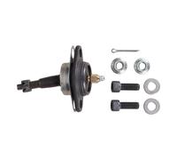 Giunto Sferico Superiore 1976-1979 Buick Opel 76 77 78 79