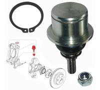 Testa Superiore Del Pivot Per Mozzo Clio E Megane 3 RS 2.0 = 7711160423