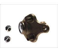 Giunto sferico YAMATO J12072YMT per TOYOTA VERSO (_R2_) 2 2012-2018