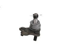 Giunto sferico YAMATO J14015YMT per HONDA CR-V IV (RM_) 2 2012-2018